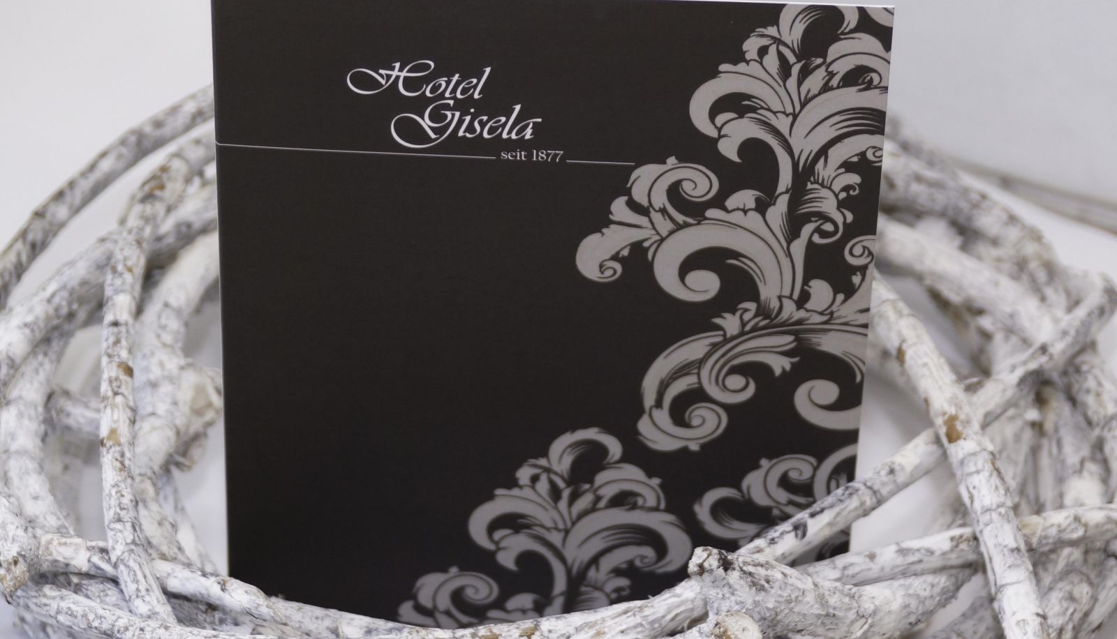 Certificate - Gisela