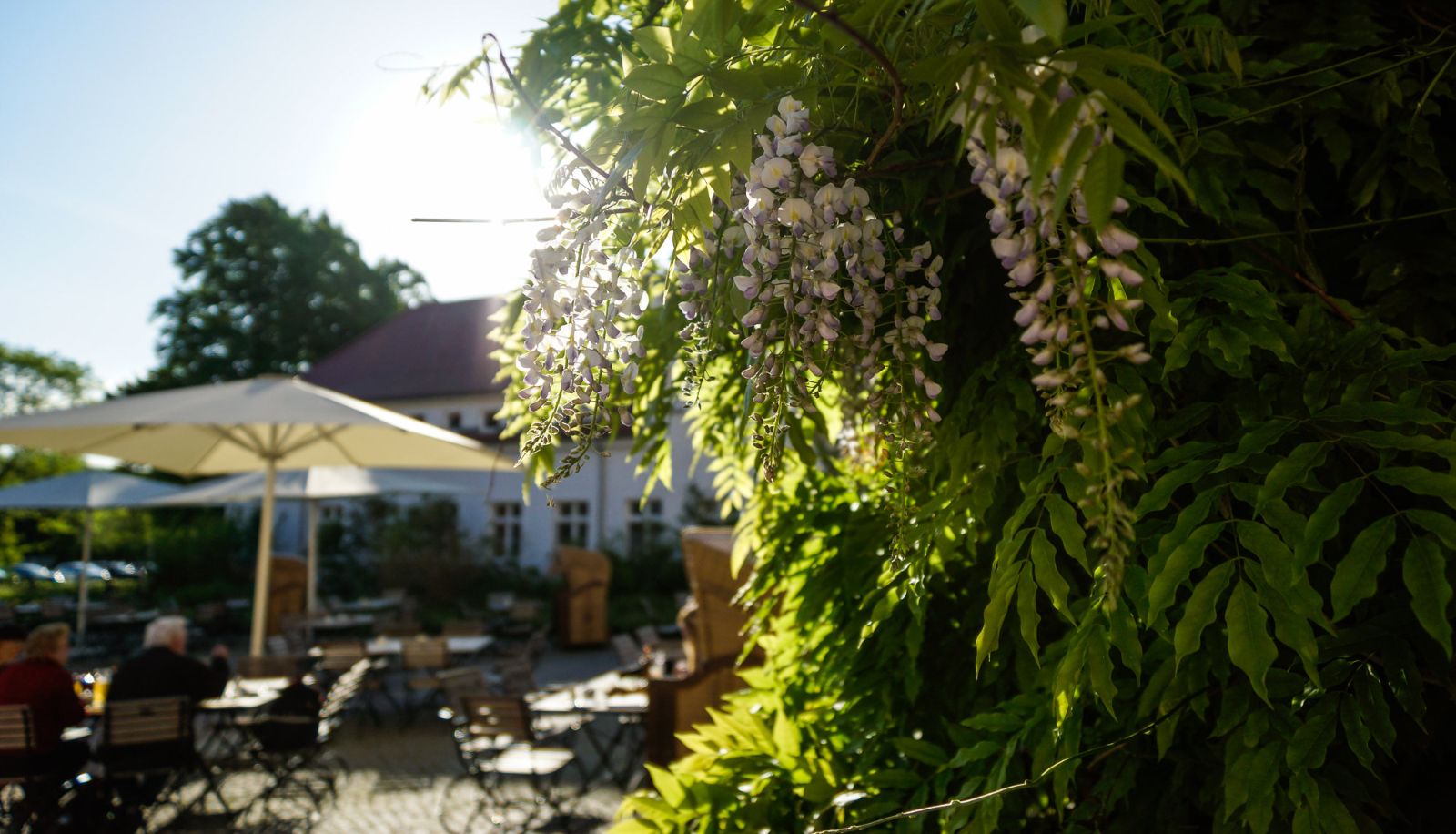 Terrace - Mellenthin Wasserschloss
