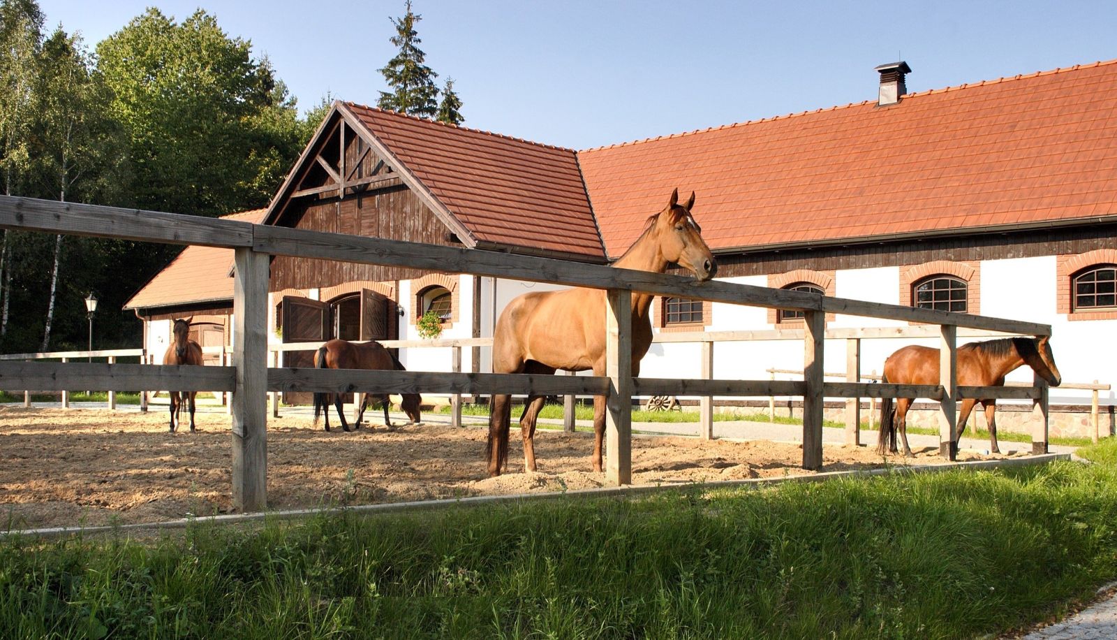 Manège - Spa Dr Irena Eris