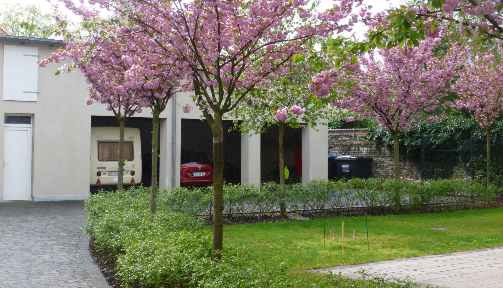 Buitenruimte van het hotel - Mit-Mensch