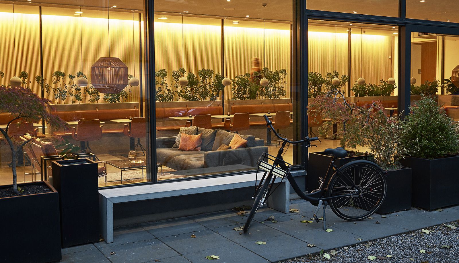 Hotel outdoor area - City Hotel Oasia