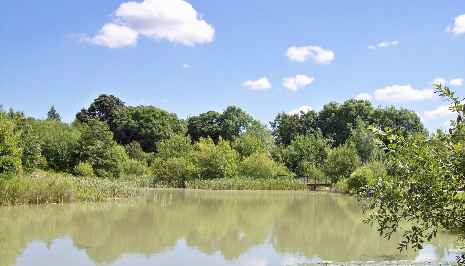 Giardino - Greenbanks