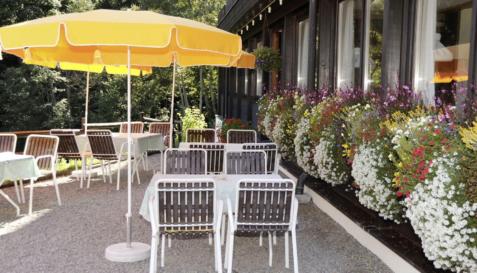 Terraza - Versettla Aparthotel