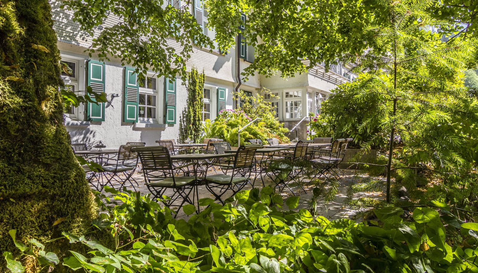 Terraza - Waldhotel