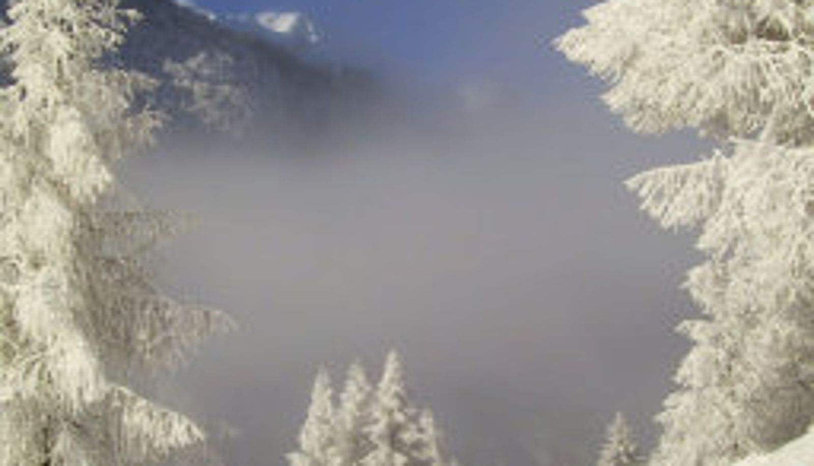 Info - Chalet Hotel Senger