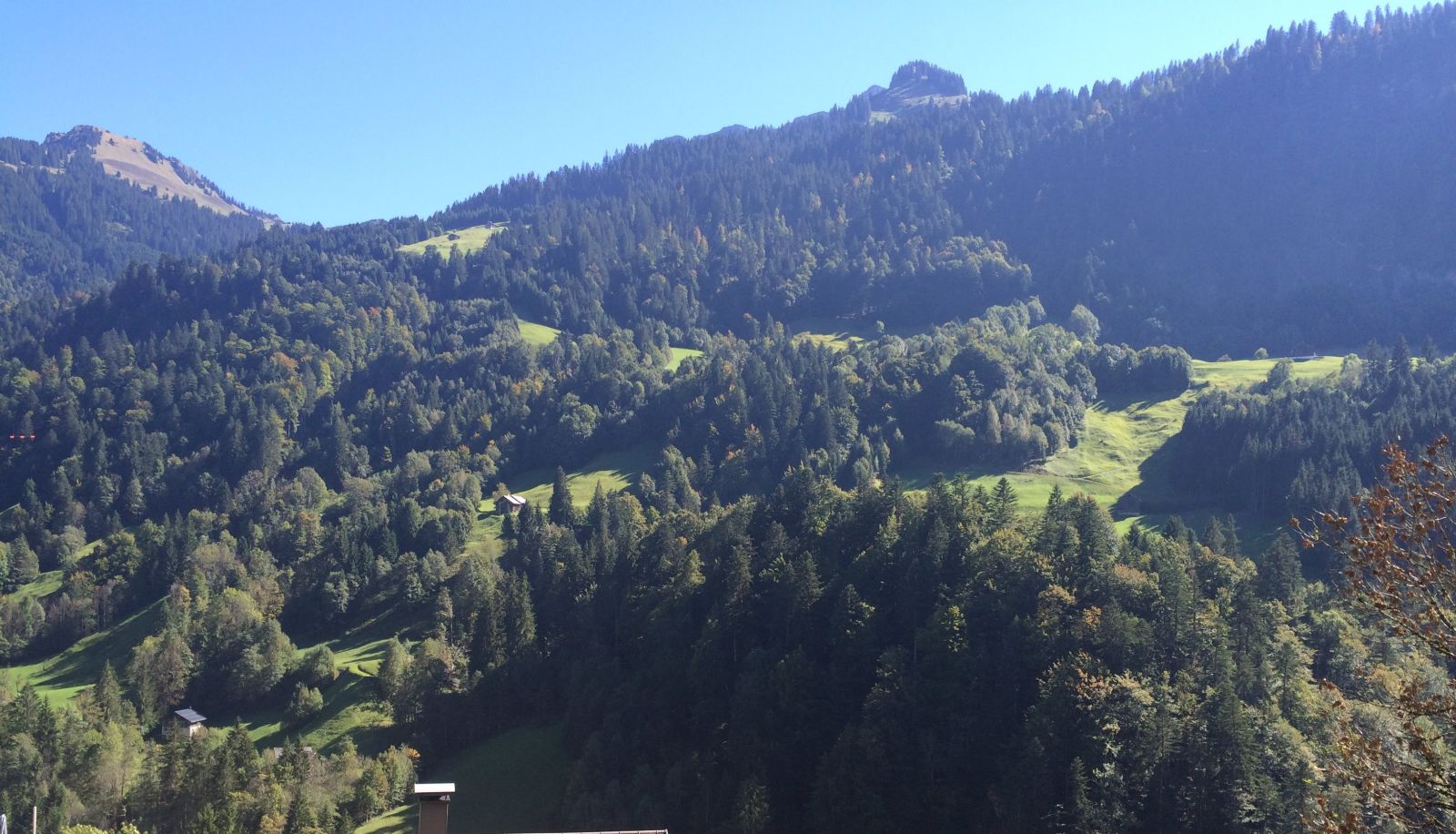 Vista - Löwen Gasthof
