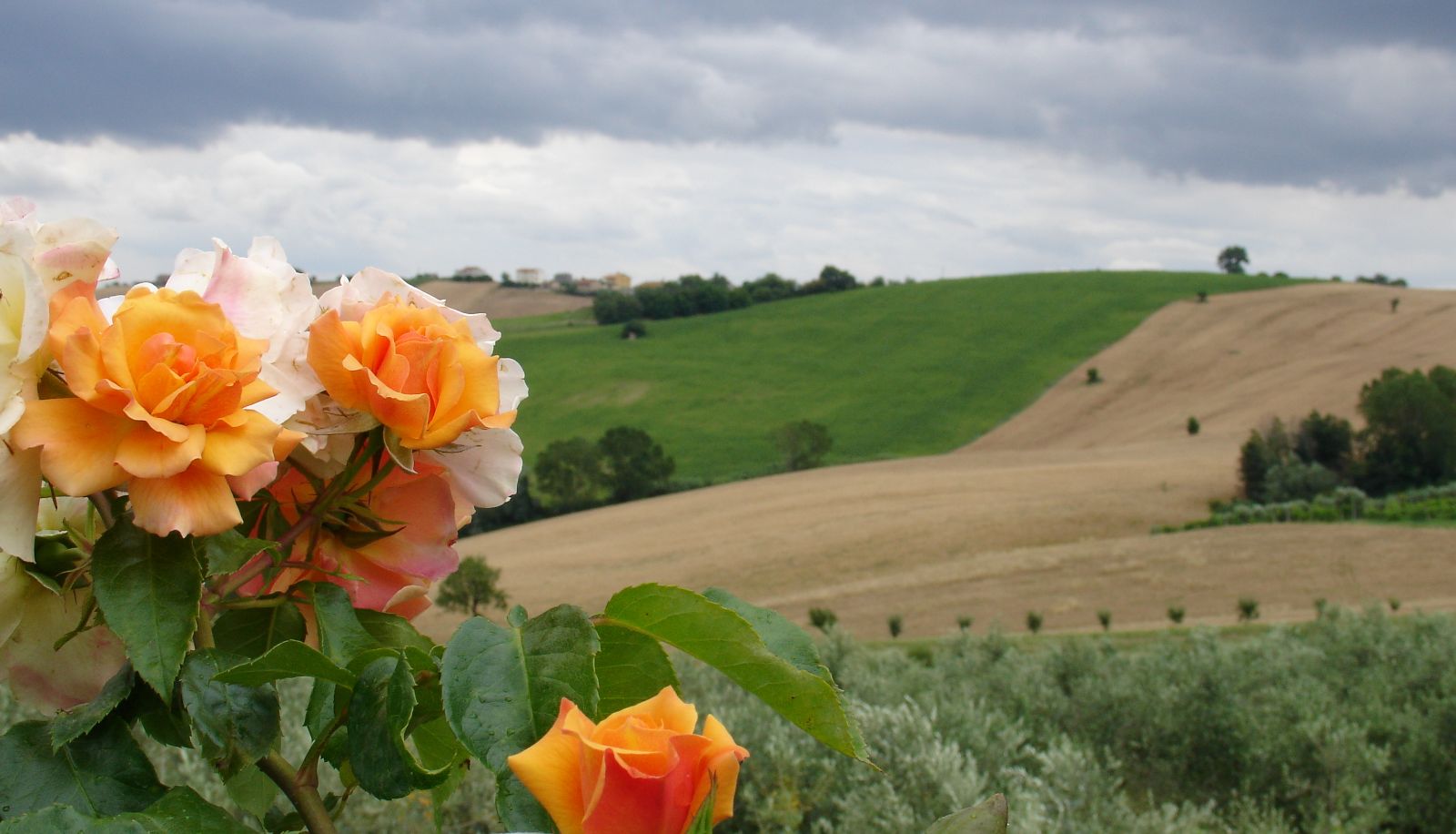 Vista - Al Crepuscolo