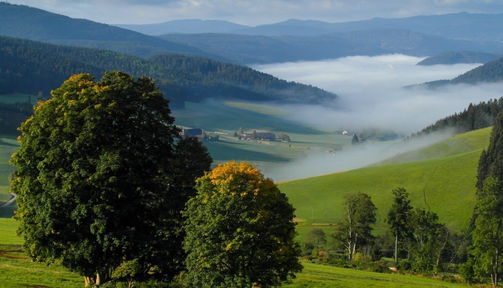 Vista - Salenhof Schwarzwaldgasthaus