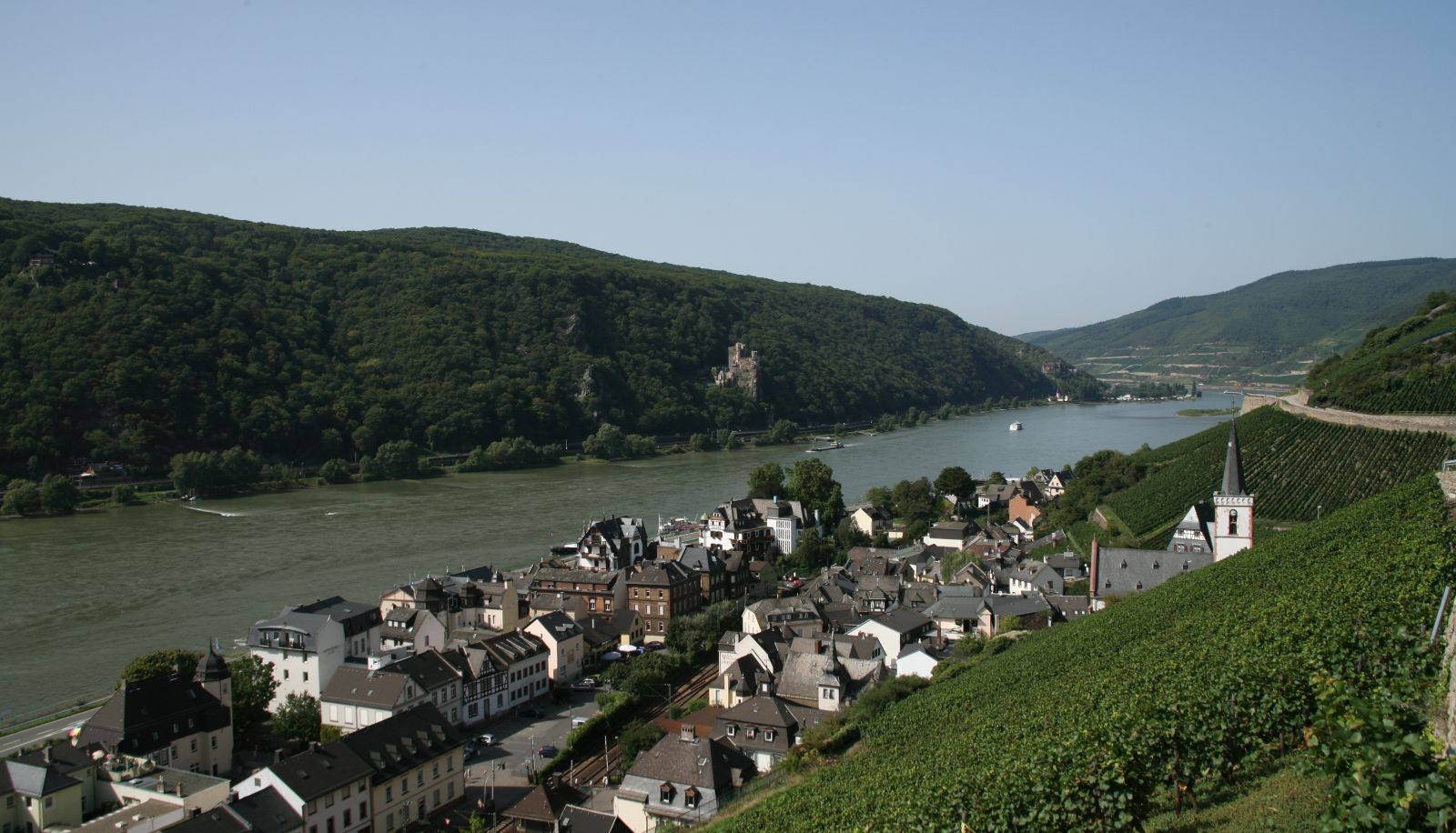 Info - Rheinhotel Lamm