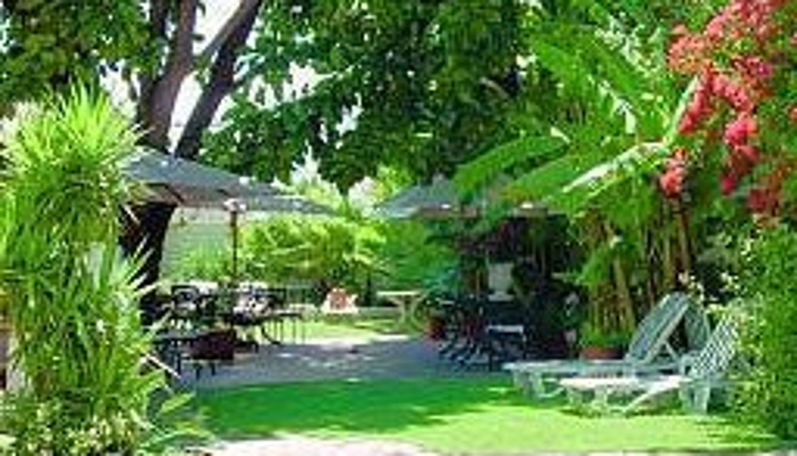 Garden - Villa Andrea