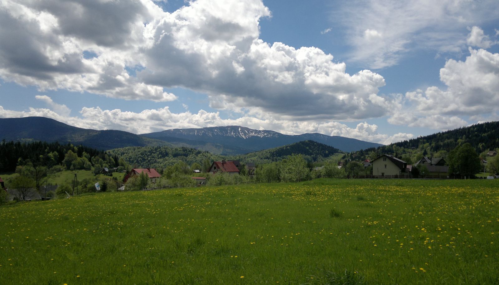 Otoczenie - Monttis