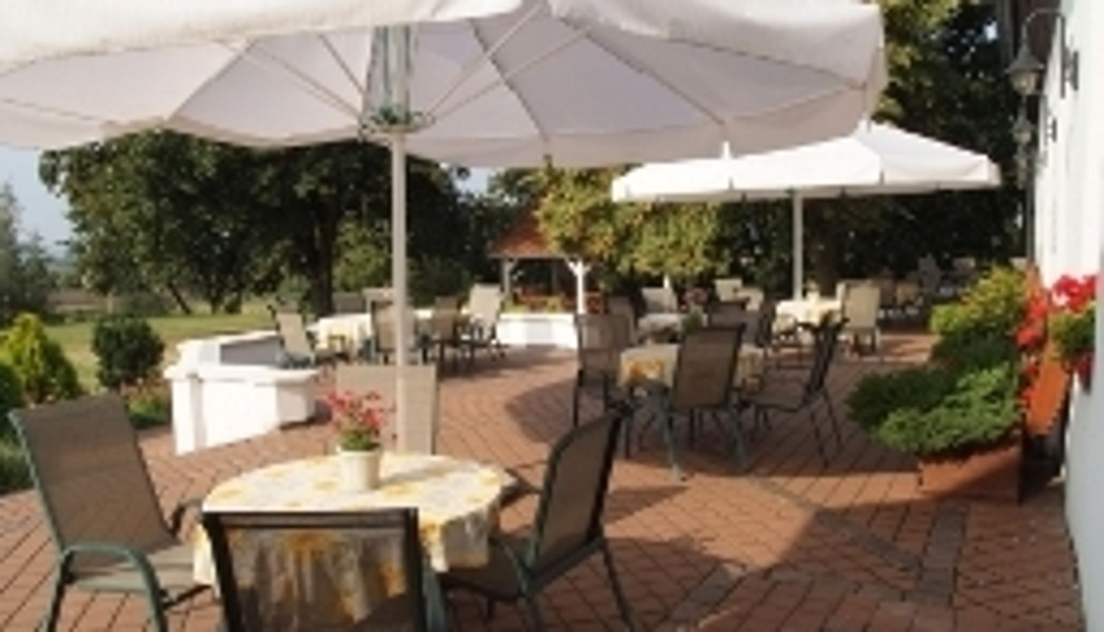 Terrace - Biały Dwór