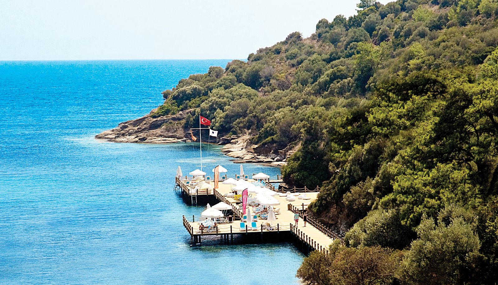 Strand - Paloma Pasha