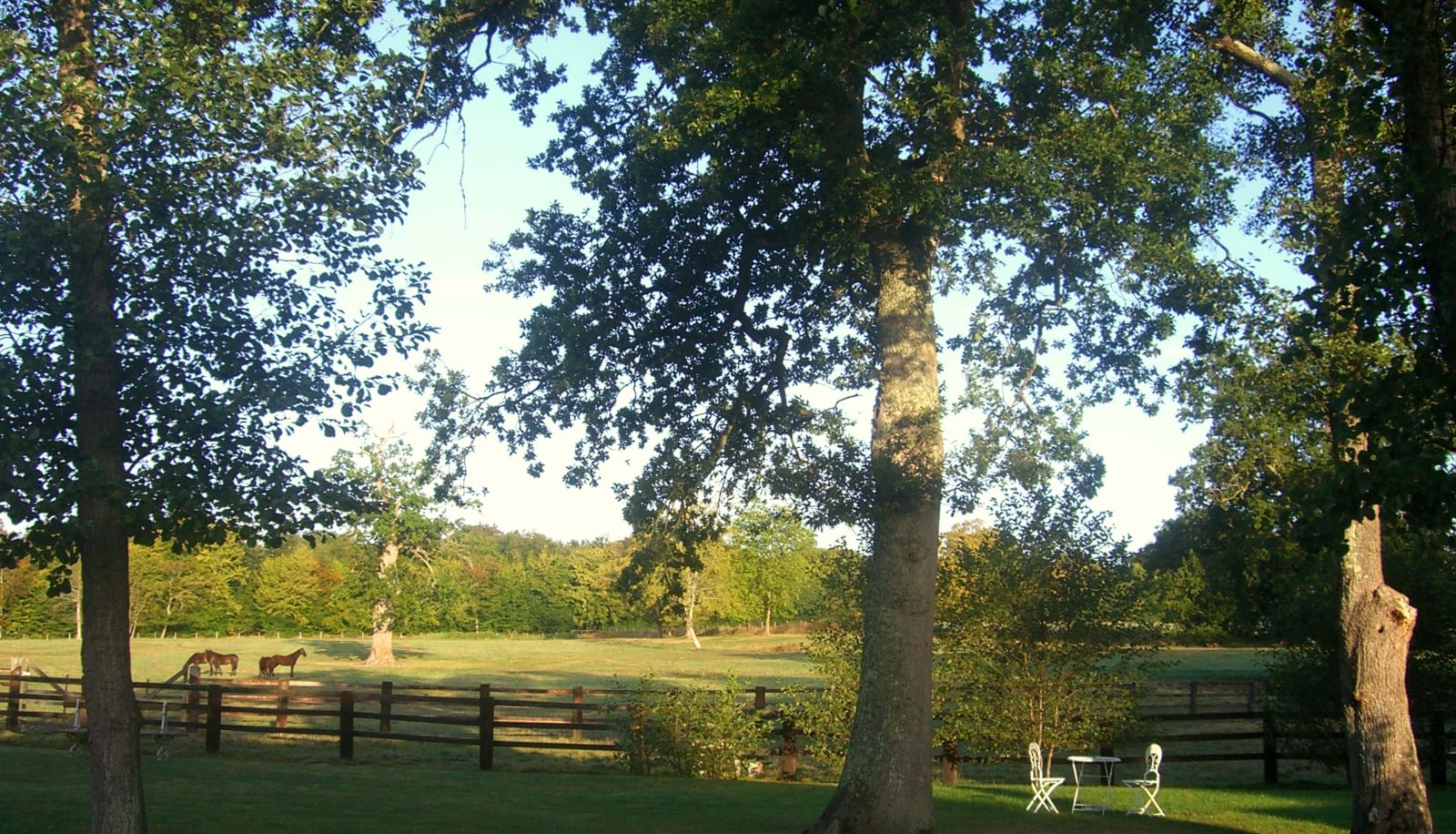 Garten - Domaine de la Tour