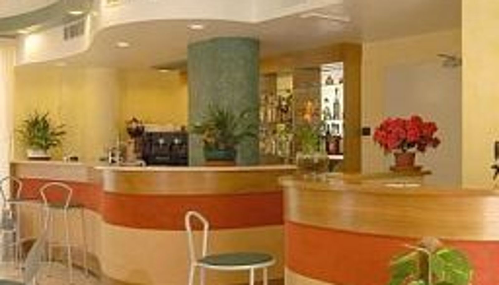 Bar - Ave Hotel