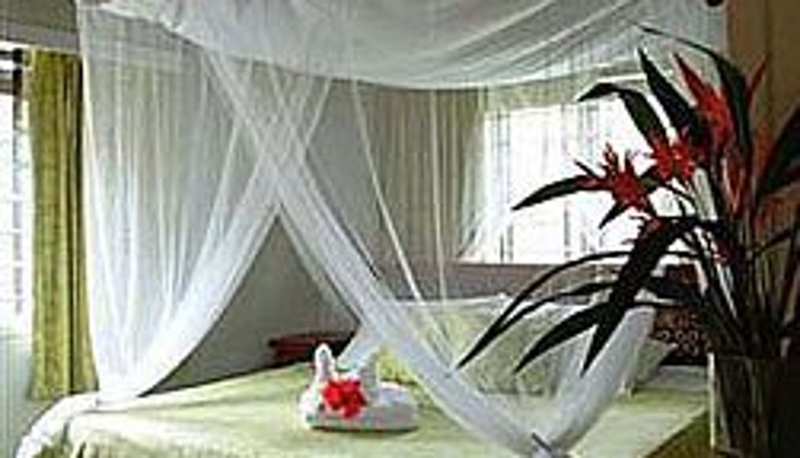 Vista interna - Palmlea Farms Lodge & Bures