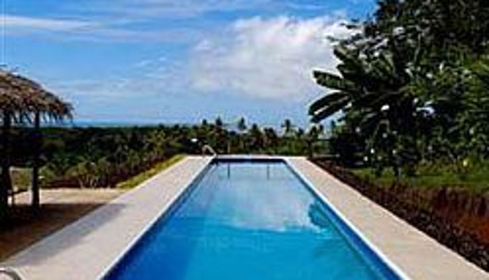 Pool - Palmlea Farms Lodge & Bures