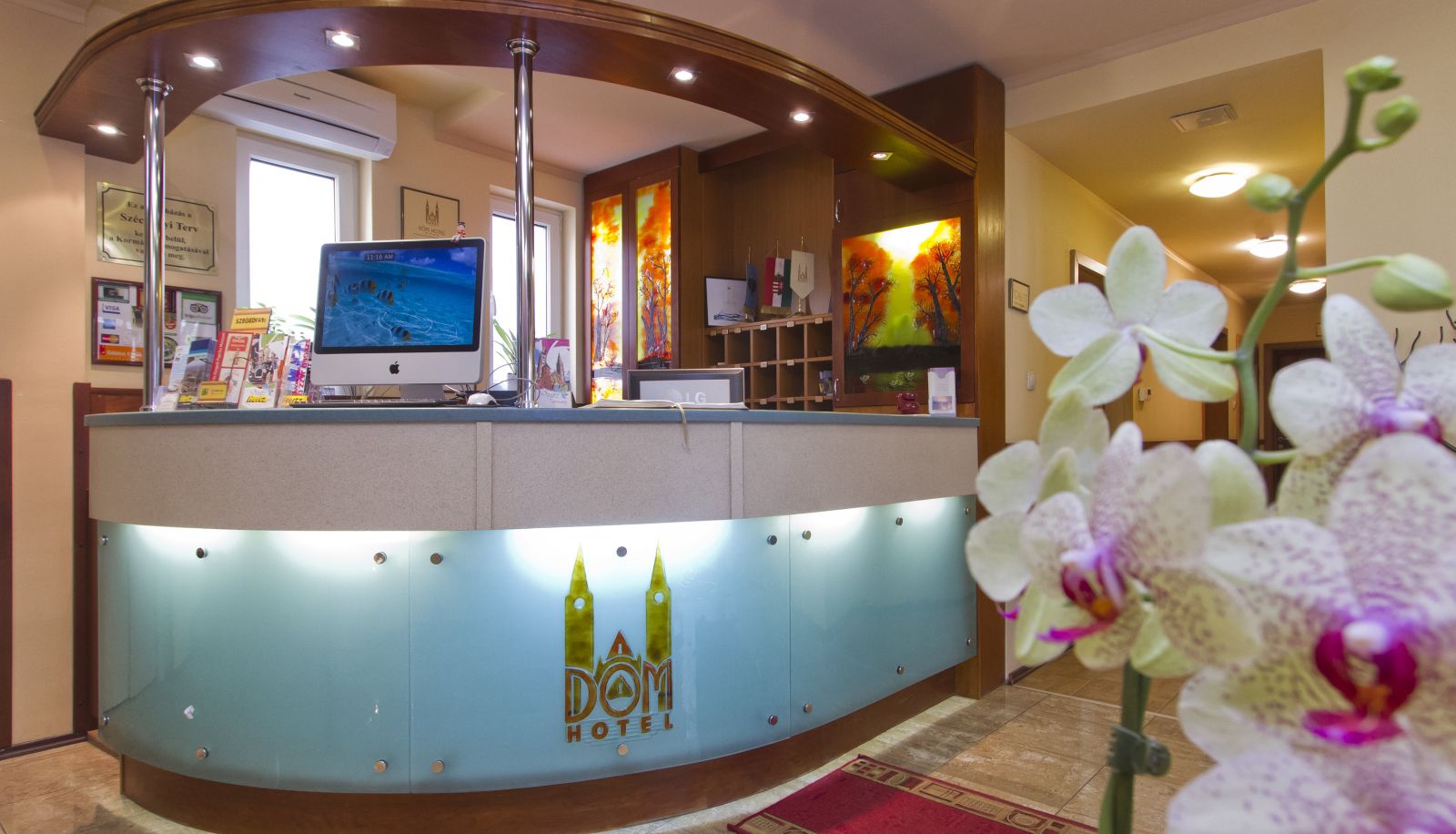 Reception - Dóm
