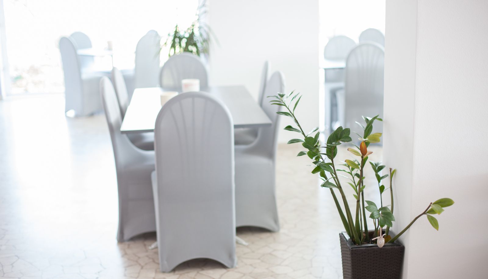 Sala de desayunos - Park Hotel