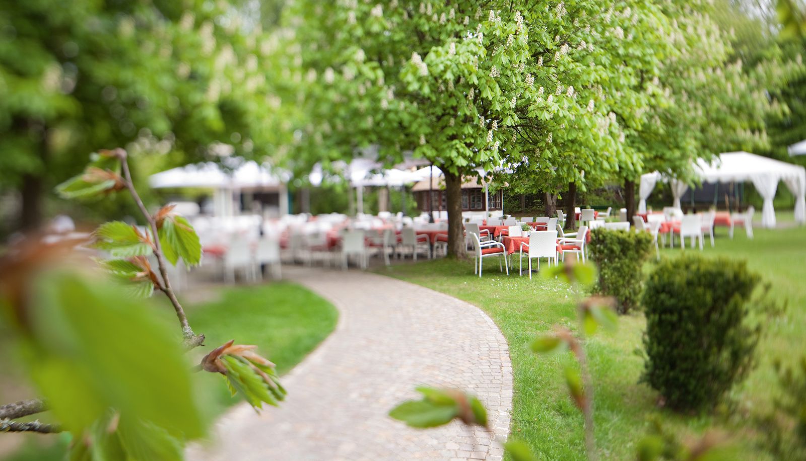 Terraza - Parkhotel Schmid