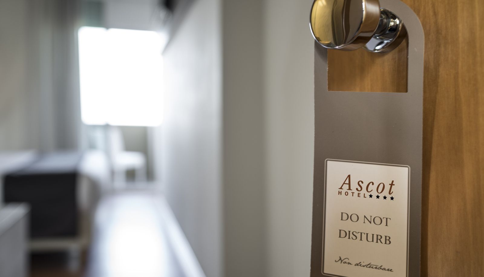 Habitación estándar (individual) - Hotel Ascot & SPA