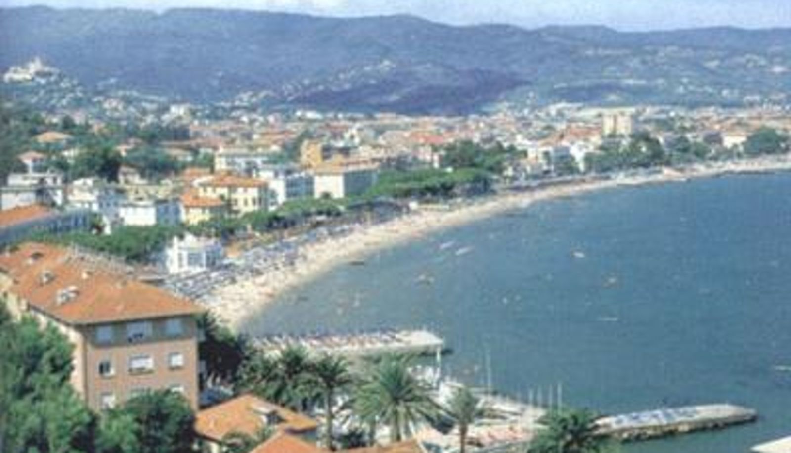 Info - Delle Mimose Hotel