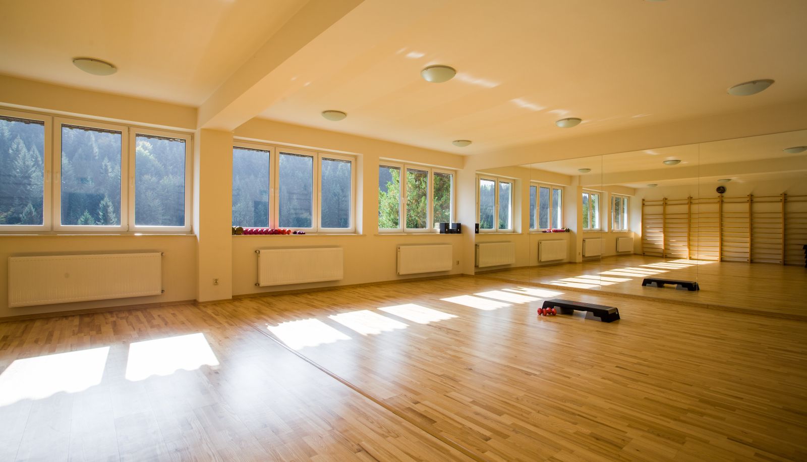 Sports facilities - Hotel*** NAT Piwniczna Zdrój