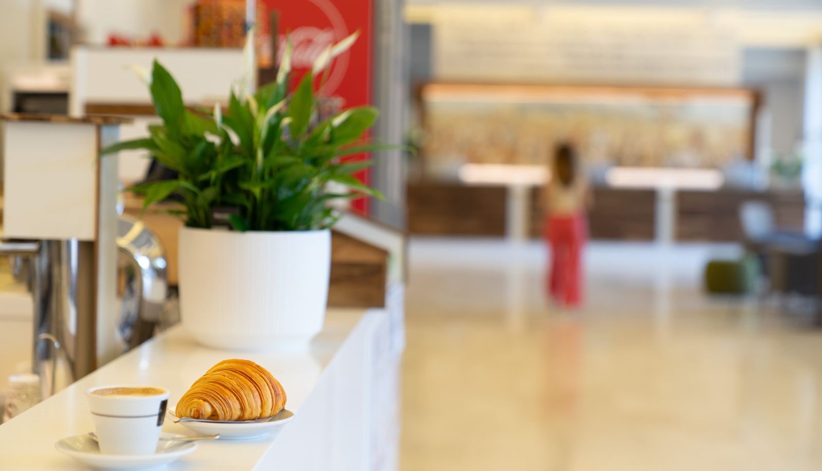 Wnętrze hotelu - Domus Pacis