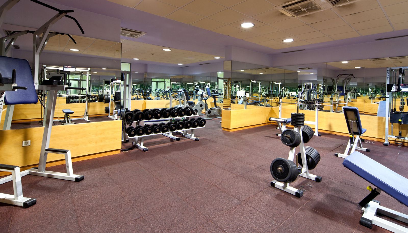 Gimnasio - Alga Bluesun Hotel