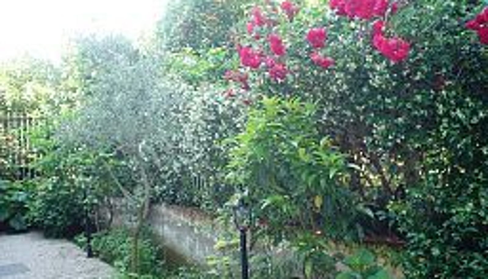 Giardino - Certe Notti Pompei B&B