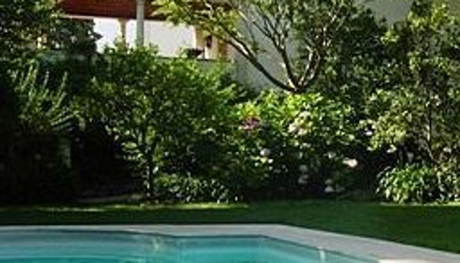 Piscina - Quinta de São Lourenço