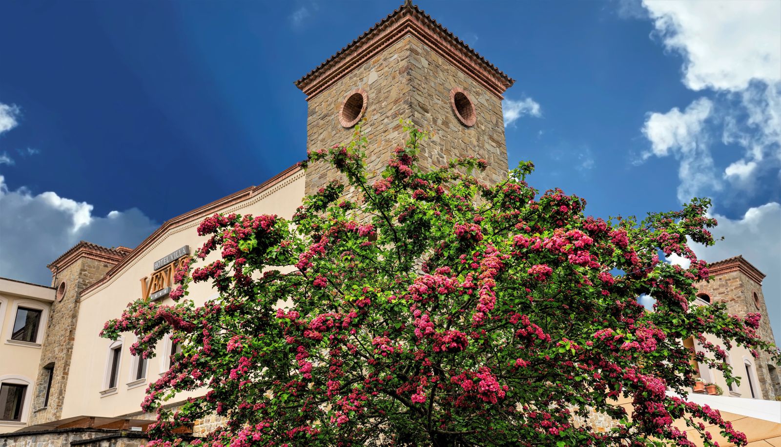 Jardín - Villa Venus