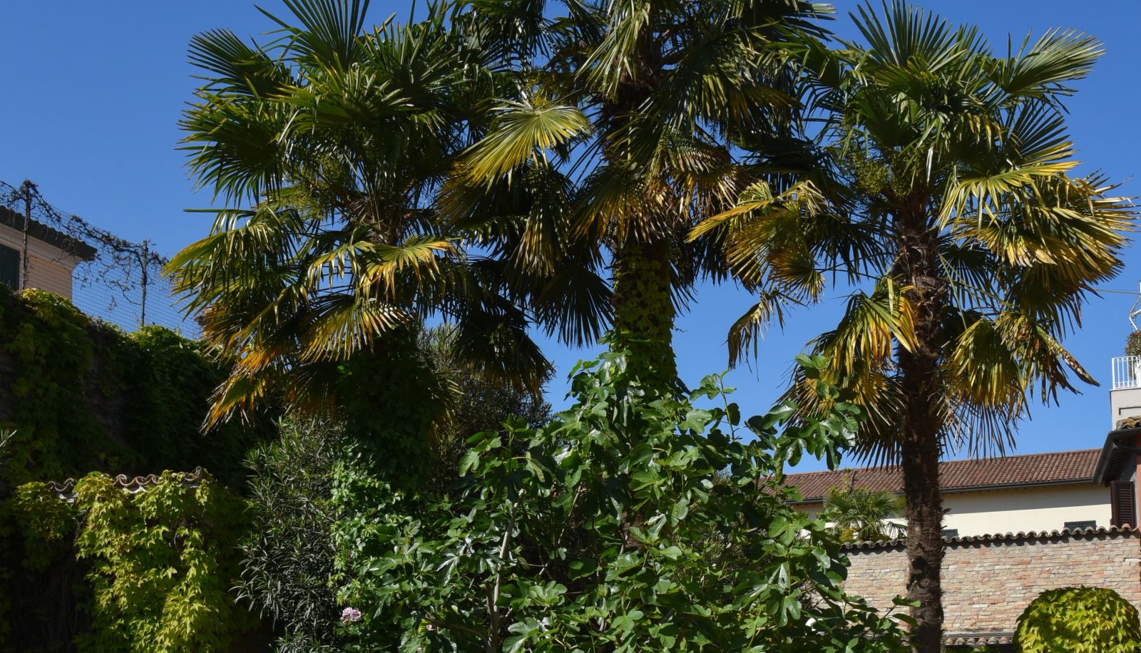 Garten - Sant'Andrea