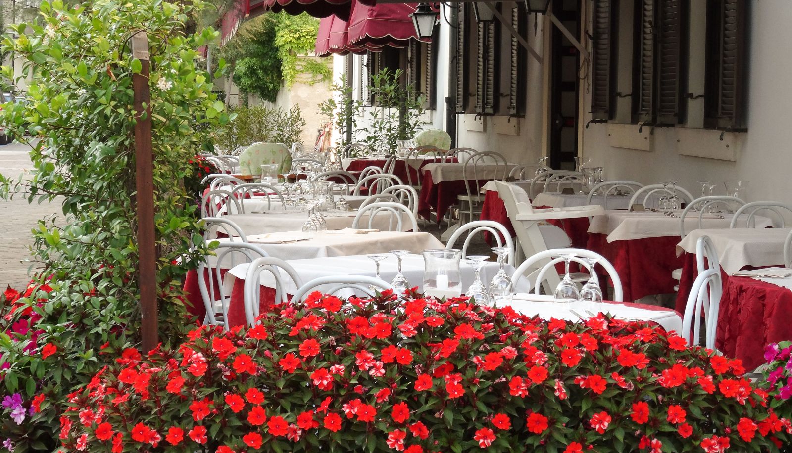 Restaurant - Villa Erica