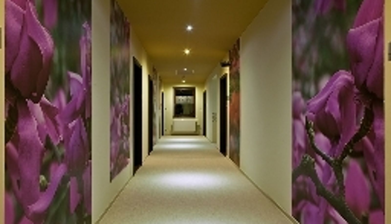 Hotel interior - Andante Hotel & Restaurant