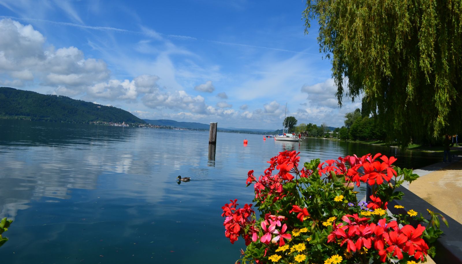 Surrounding - Regenscheit Pension