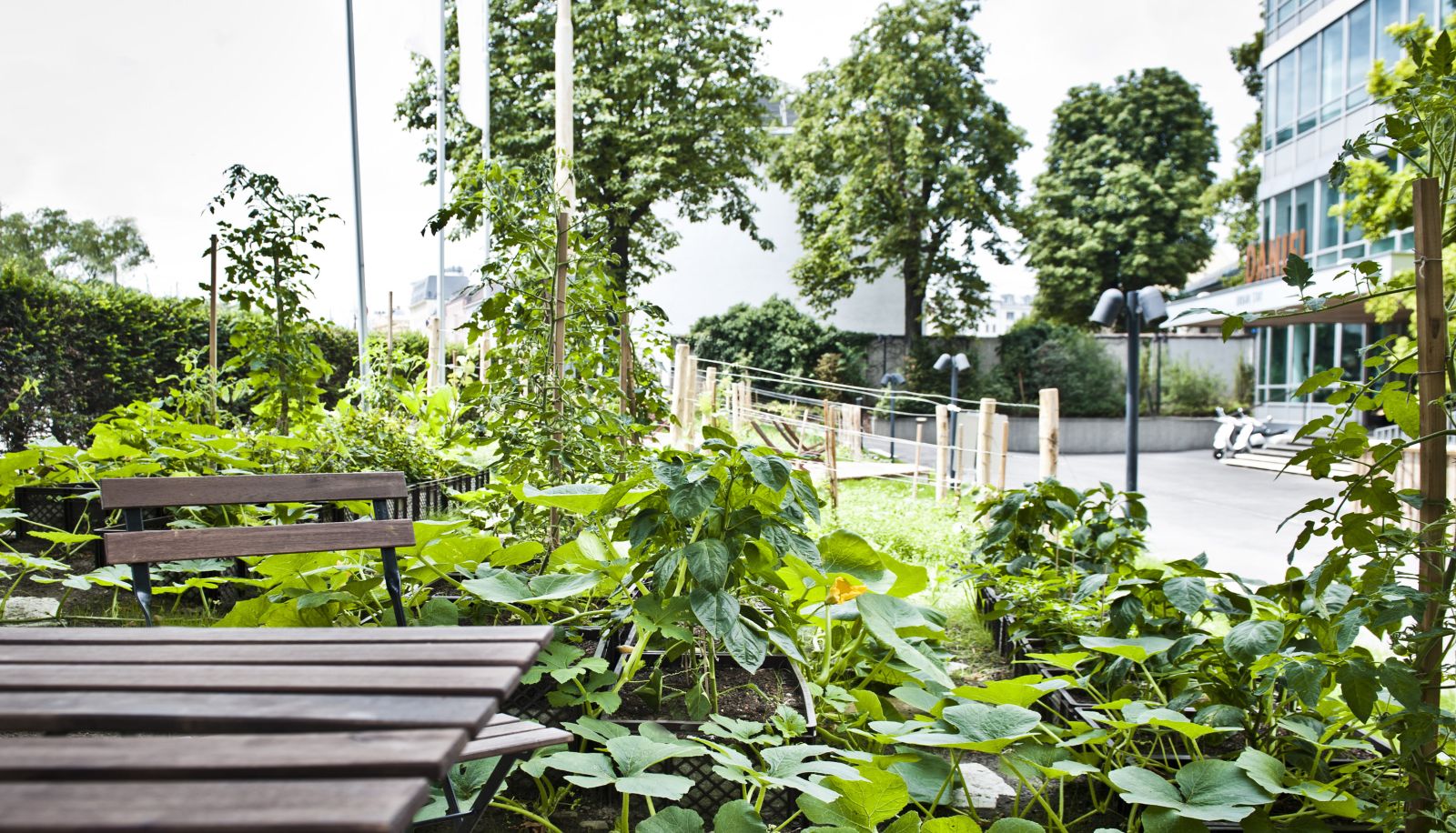 Garten - Daniel Vienna