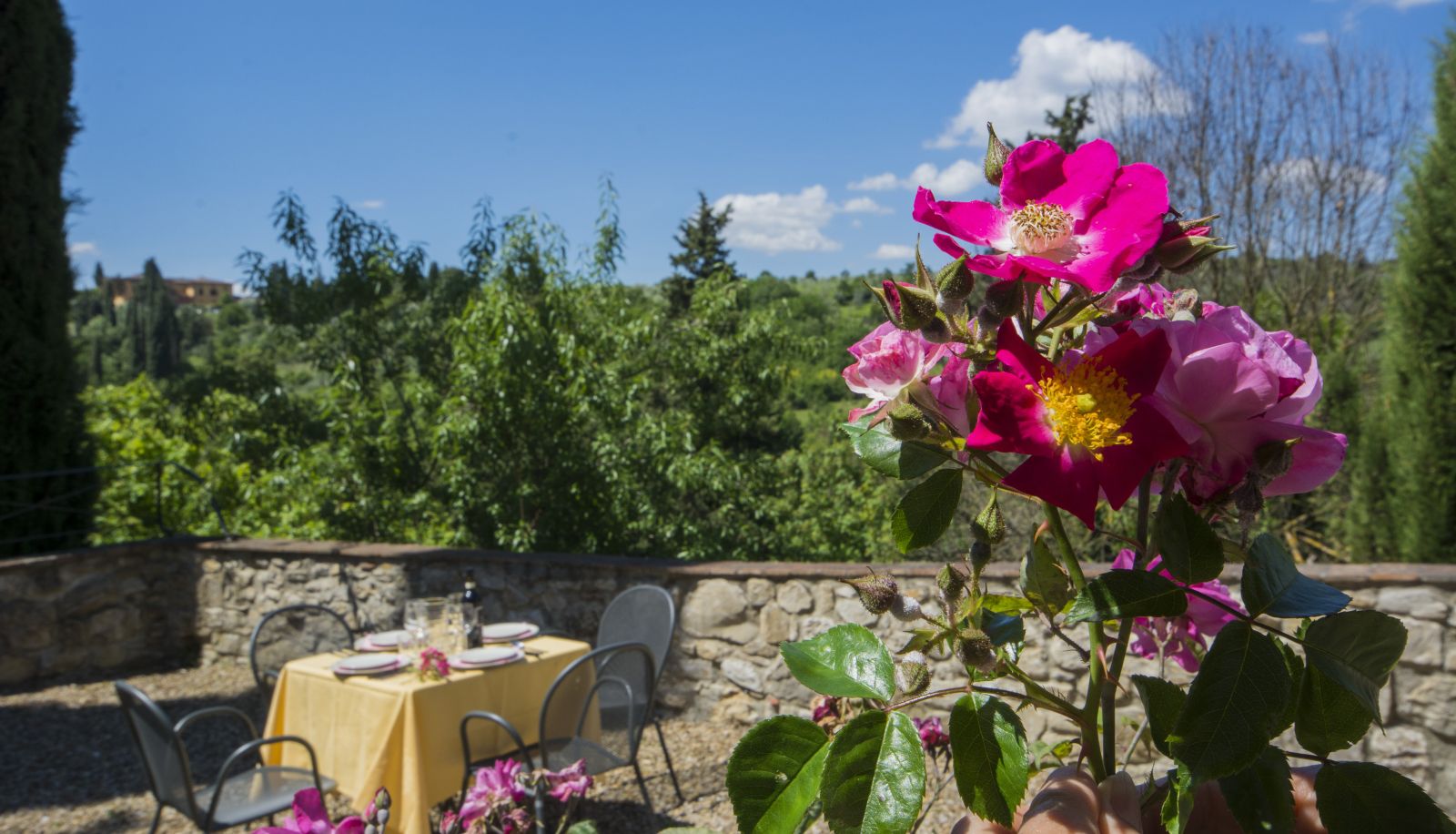 Area esterna dell'hotel - Borgo Bottaia