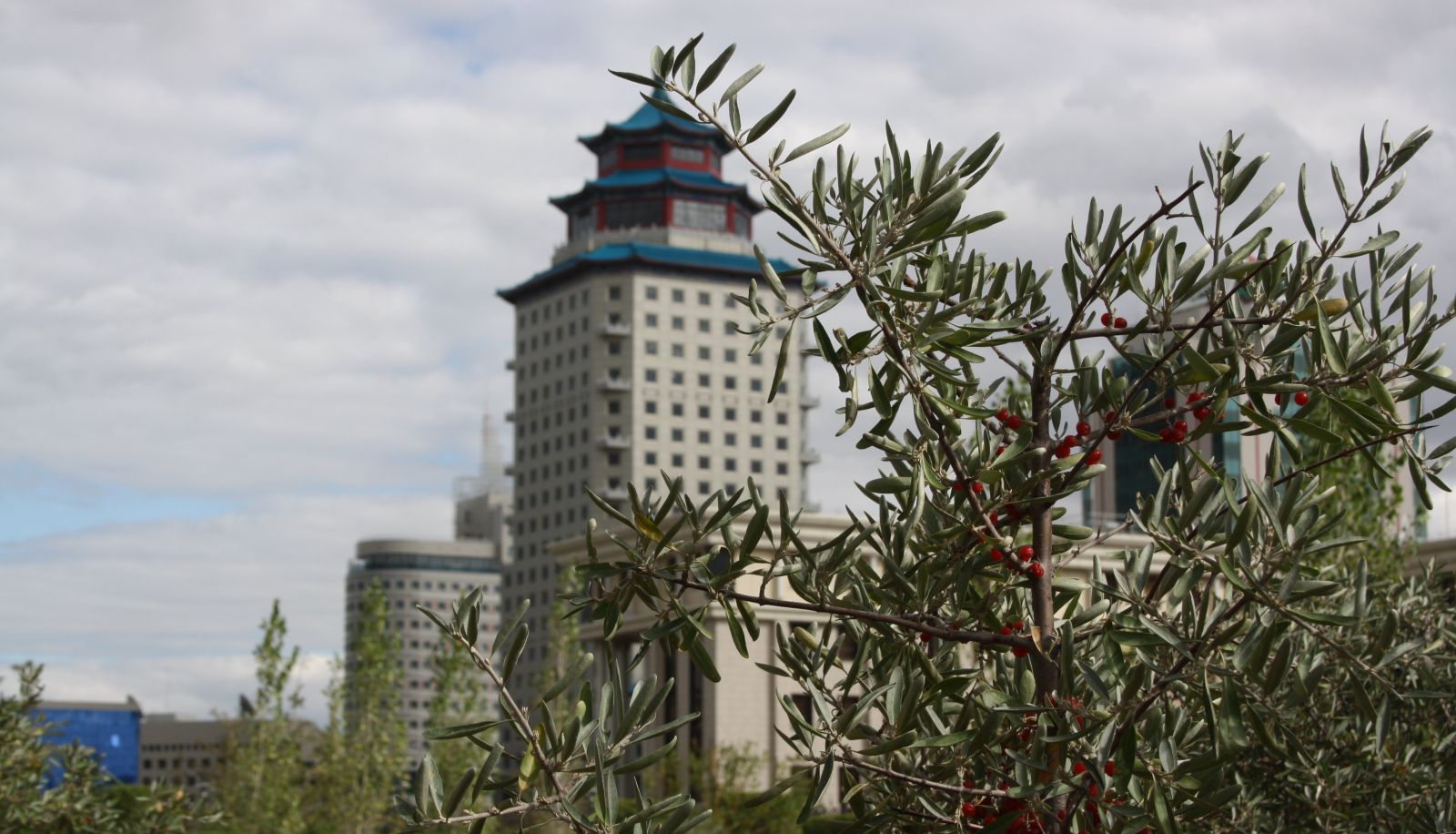 Surrounding - Beijing Palace Soluxe Astana