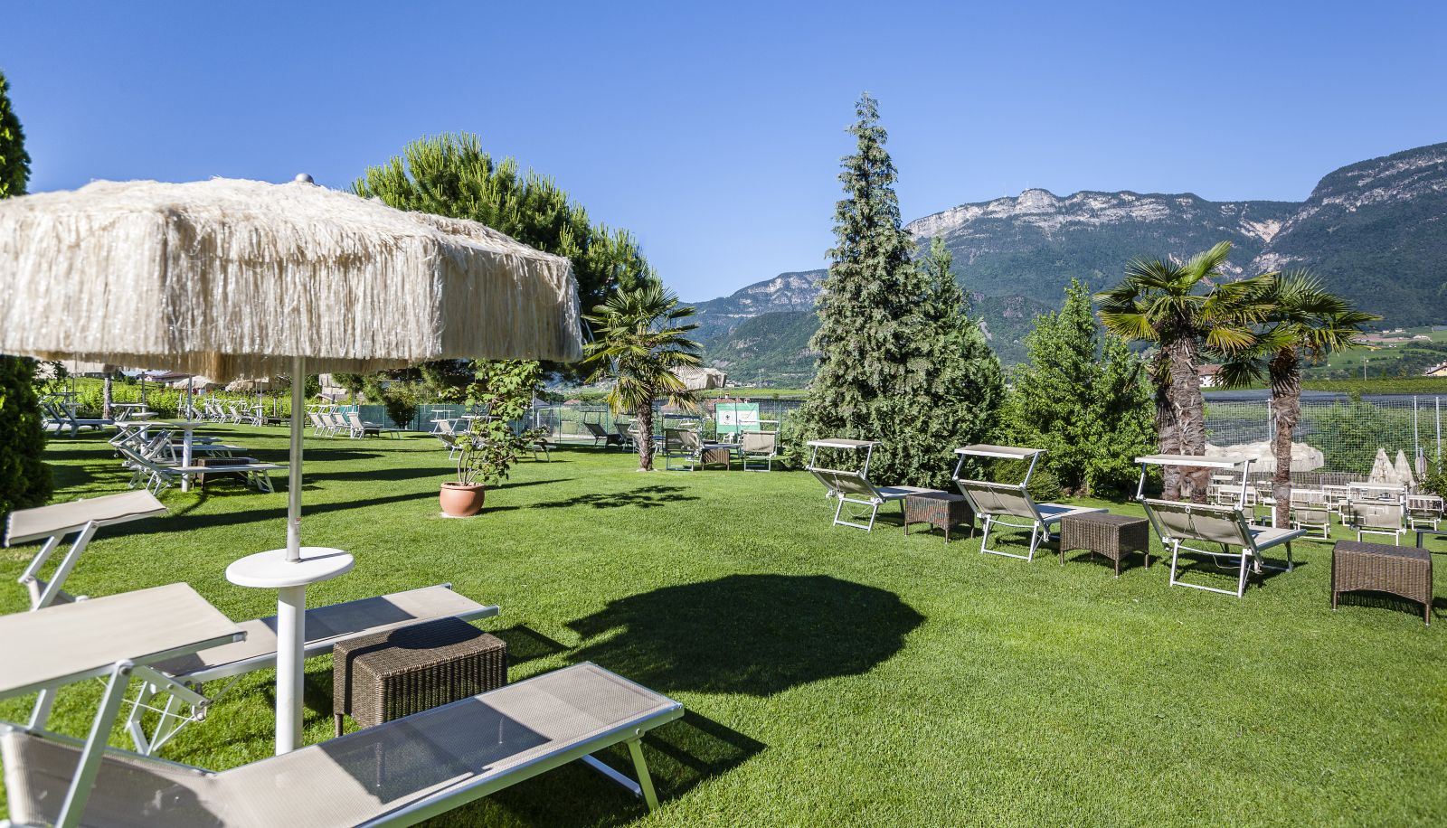 Giardino - Weinegg