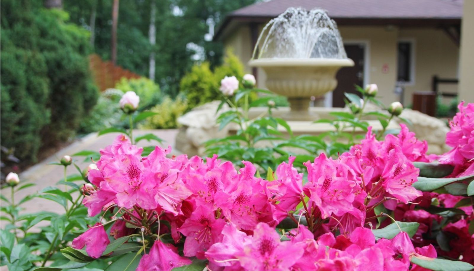 Ogród - Vitalia Hotel&Resort