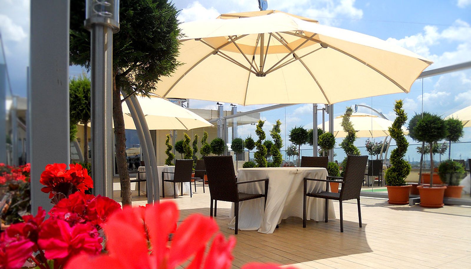 Terrace - Marshal Garden