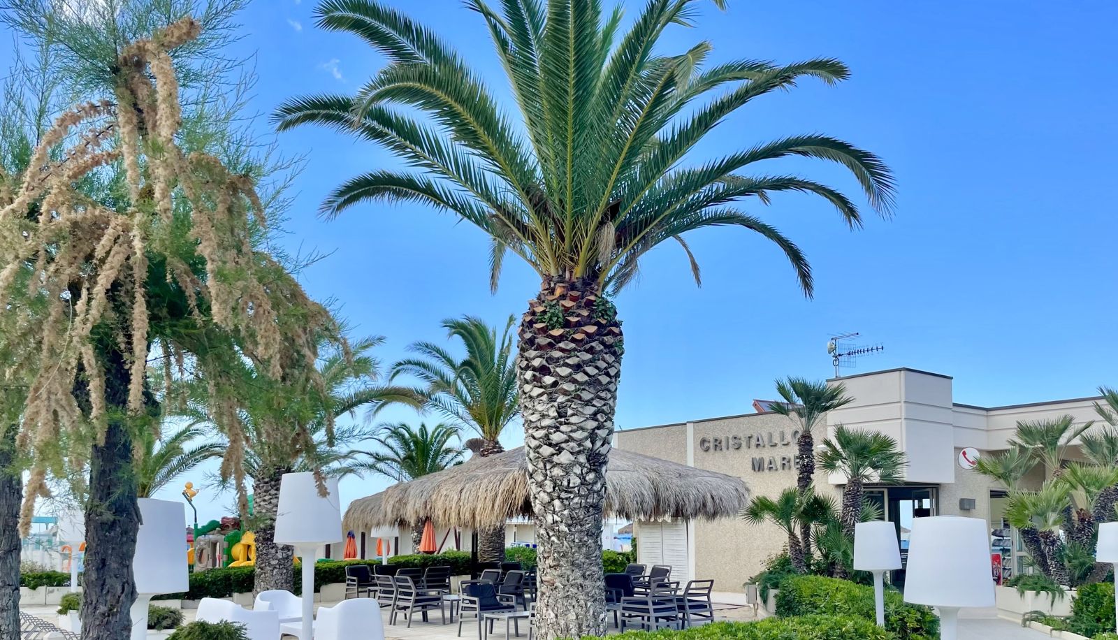 Strand - Cristallo