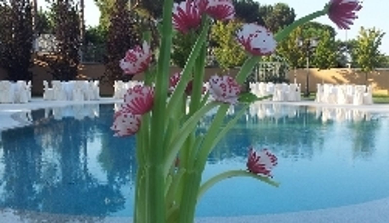 Zwembad - Villa Michelangelo
