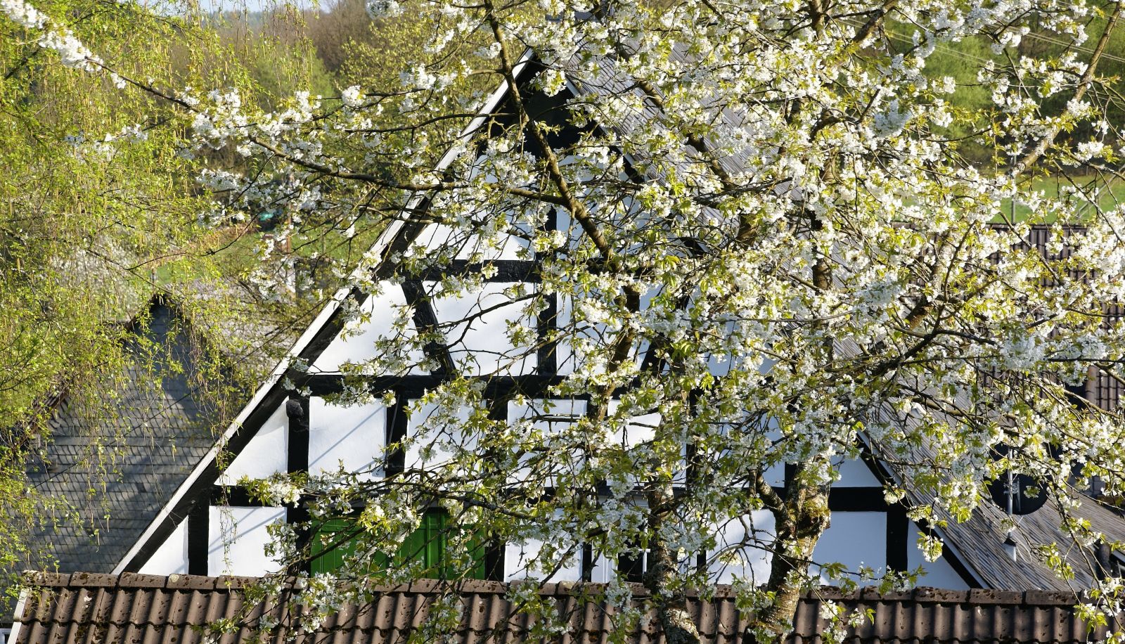 Otoczenie - Gasthof Schumacher Hotel Garni