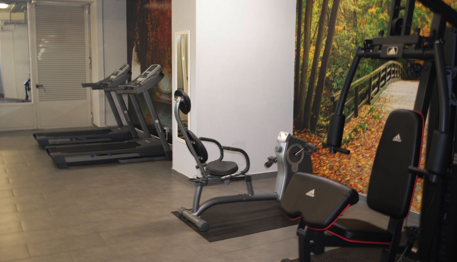Gimnasio - Park Hotel Ginevra