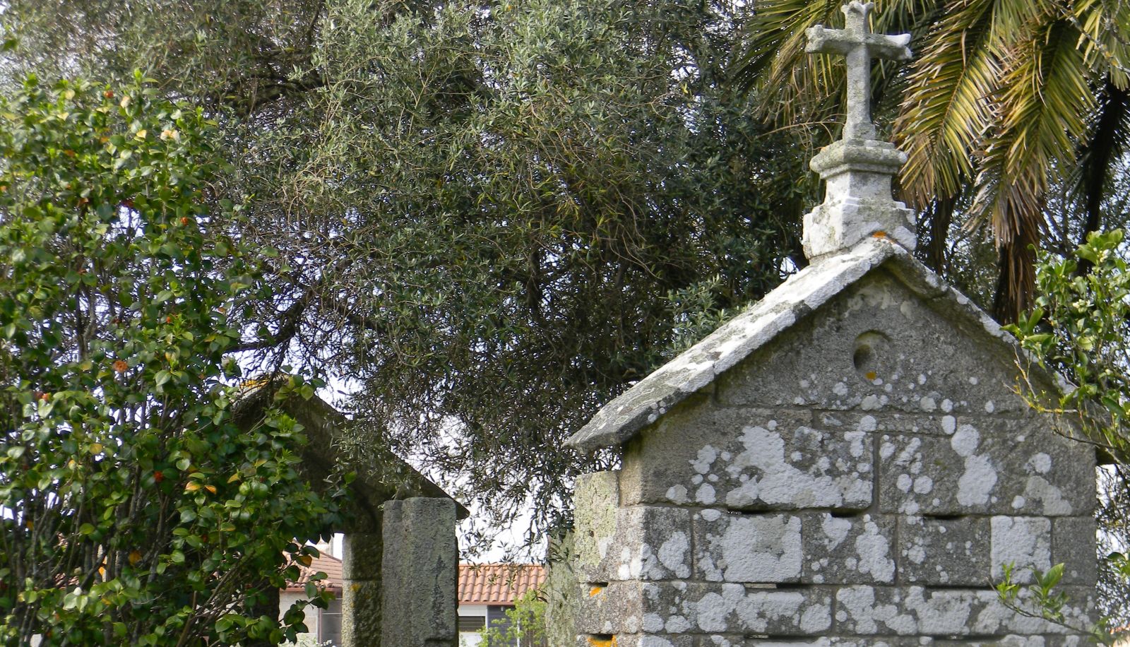 Tuin - Pazo Carrasqueria