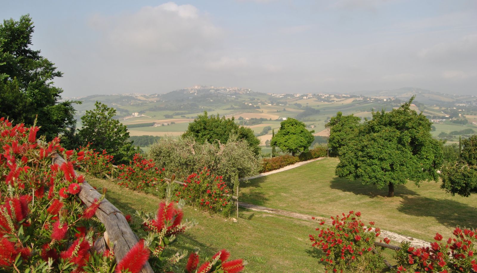 Ogród - Agriturismo Il Falco