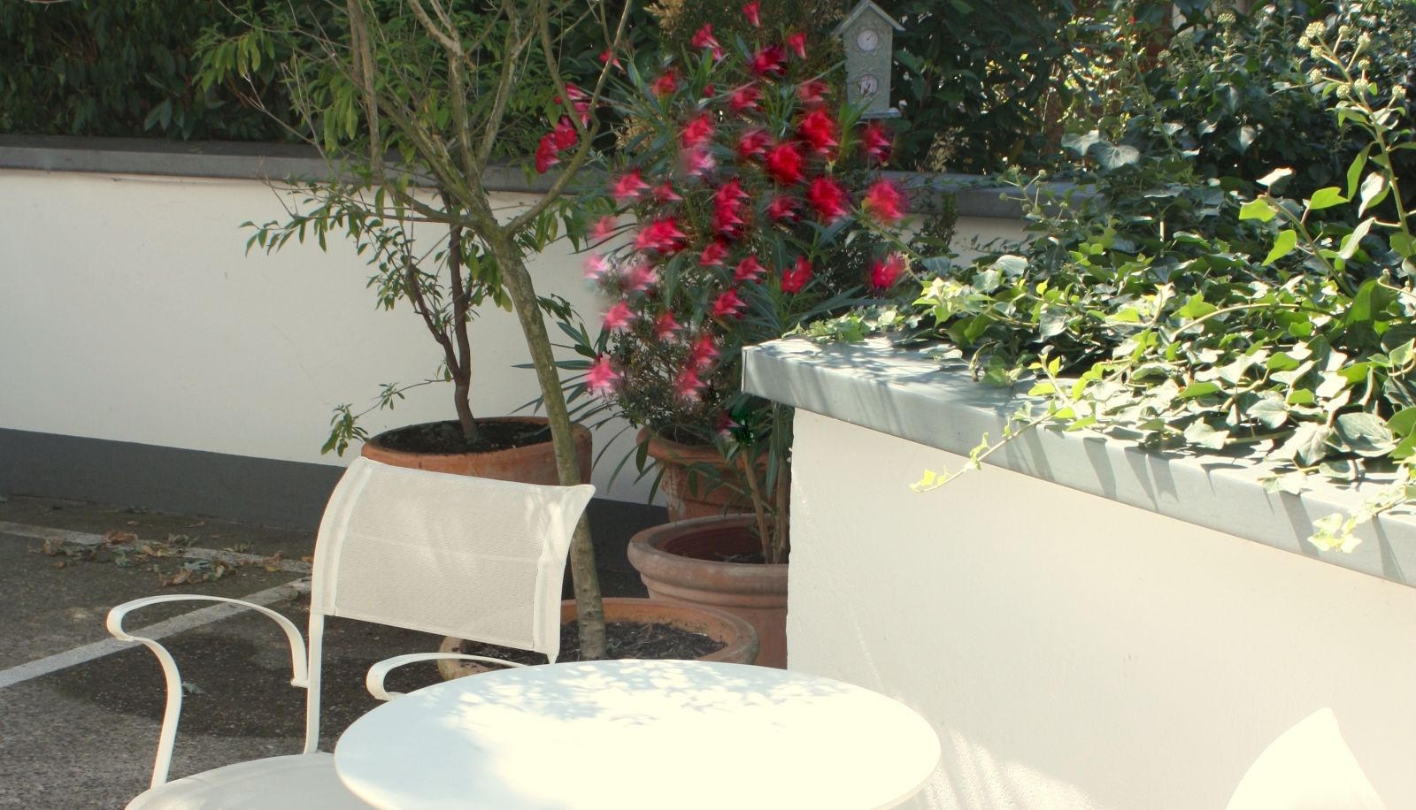 Jardin - Gertrudenhof