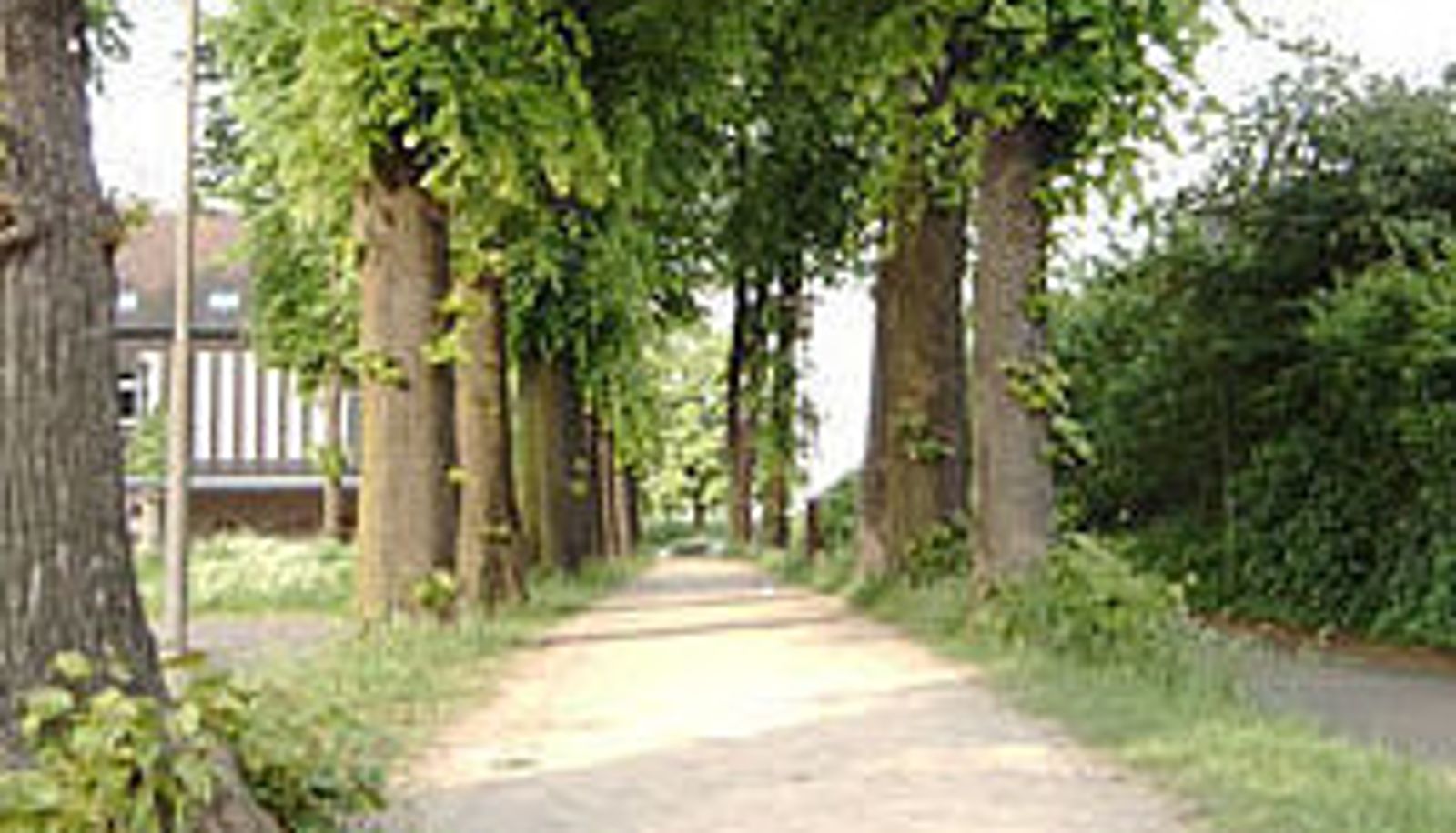 Ogród - Orsoyer Hof